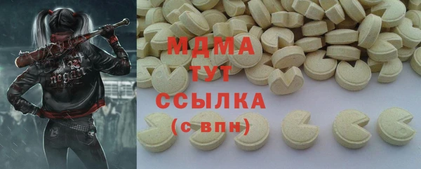 хмурый Бородино