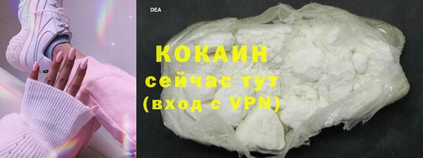 хмурый Бородино