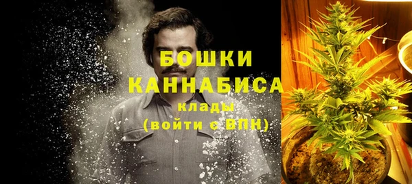 хмурый Бородино