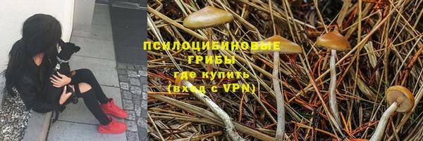 хмурый Бородино