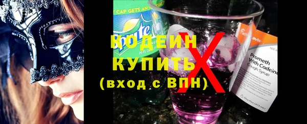 хмурый Бородино