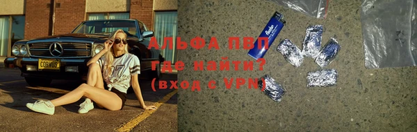 хмурый Бородино