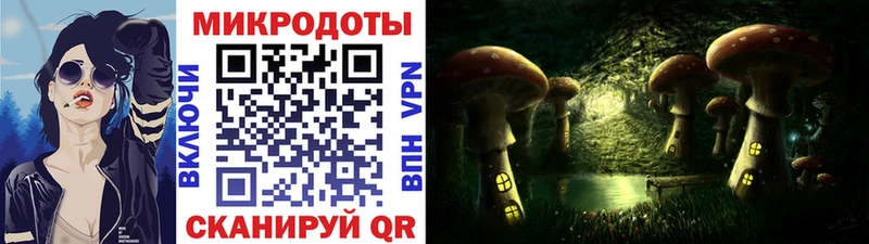 где можно купить   Улан-Удэ  Псилоцибиновые грибы мухоморы 